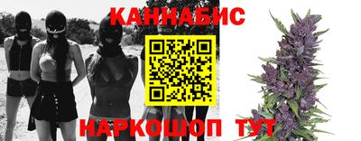 МДПВ Пугачёв